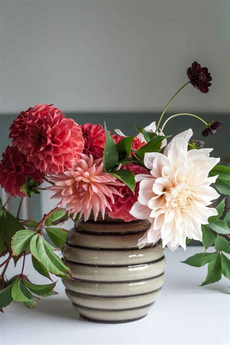 From Garden to Plate: Culinary Adventures with the Magical Artisan Dahlia